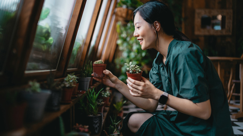 Woman holding a variety of small houseplants in low lighting inside